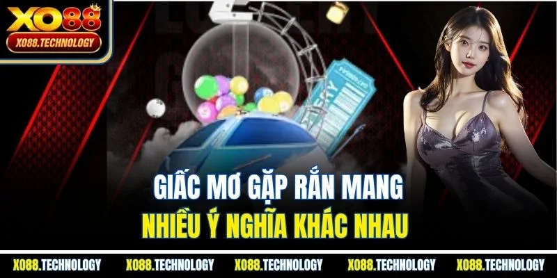 Giấc mơ gặp rắn mang nhiều ý nghĩa khác nhau 